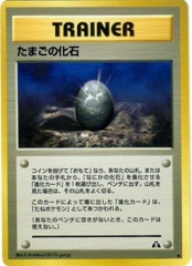 Fossil Egg - Uncommon